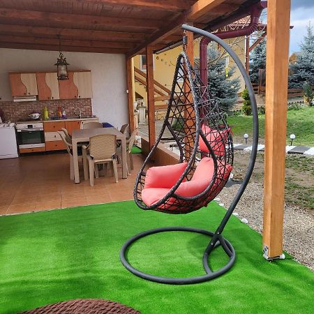 Vila Ana Cu Terasa Gratar Si Jacuzzi Villa Сату Маре Екстериор снимка