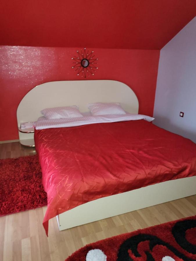 Vila Ana Cu Terasa Gratar Si Jacuzzi Villa Сату Маре Екстериор снимка