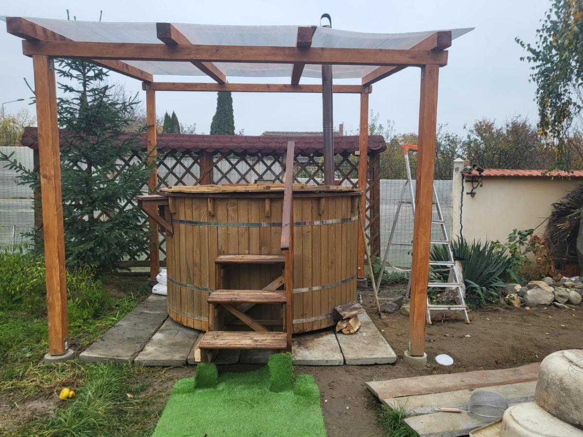 Vila Ana Cu Terasa Gratar Si Jacuzzi Villa Сату Маре Екстериор снимка